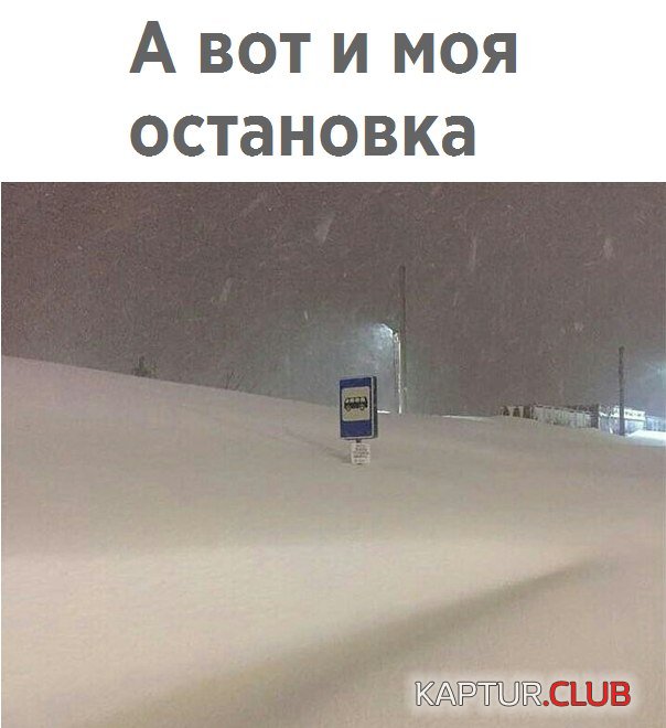 9bbdd910f1e0b41b141d95d0c40.jpg | Рено Каптур Клуб Россия | Форум KAPTUR.SU
