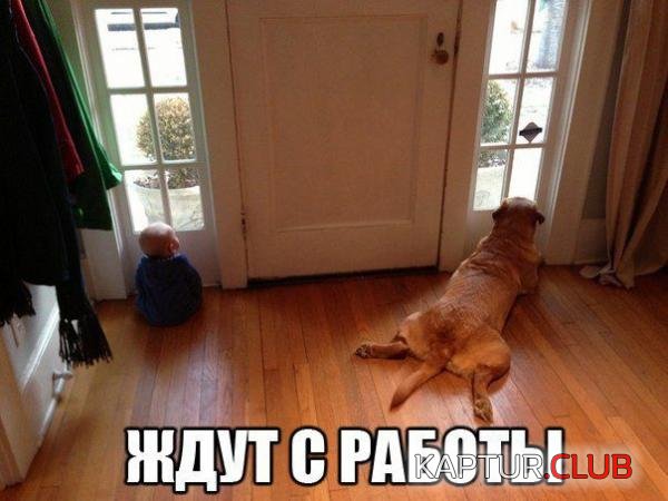 9bd84a6952eae9132d794832e1a.jpg | Рено Каптур Клуб Россия | Форум KAPTUR.SU