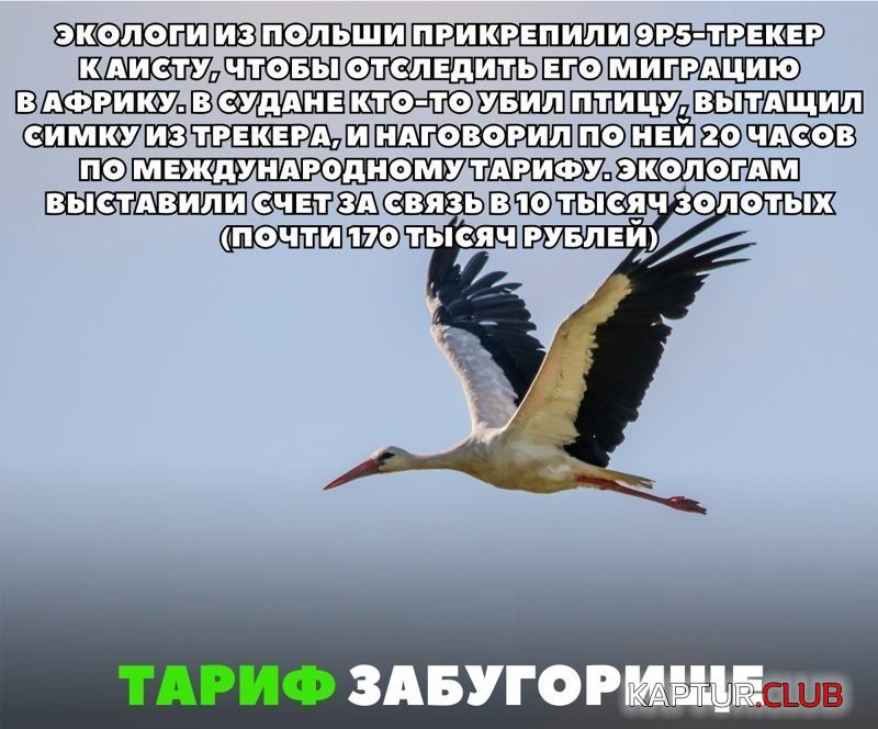 9c2c358be0d6e0313ba07ff1972.jpg | Рено Каптур Клуб Россия | Форум KAPTUR.SU