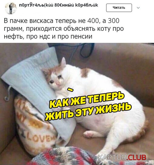 9c9ccbe0fa700eeeaf7a6538816.jpg | Рено Каптур Клуб Россия | Форум KAPTUR.SU