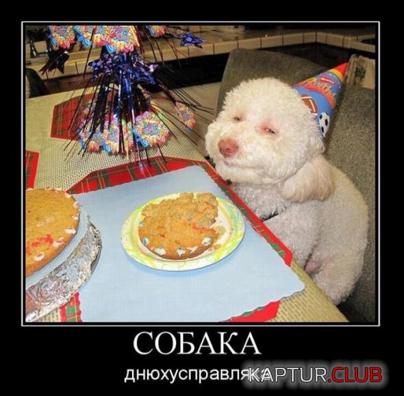 9cabd11da8cfa7cdd9715d53a31_prev.jpg | Рено Каптур Клуб Россия | Форум KAPTUR.SU