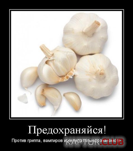 9ce7e17980087d72e8fc528689e.jpg | Рено Каптур Клуб Россия | Форум KAPTUR.SU