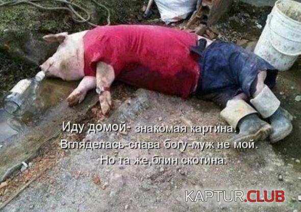 9d3fde9d56aeac9e05cf5a80b1c_prev.jpg | Рено Каптур Клуб Россия | Форум KAPTUR.SU