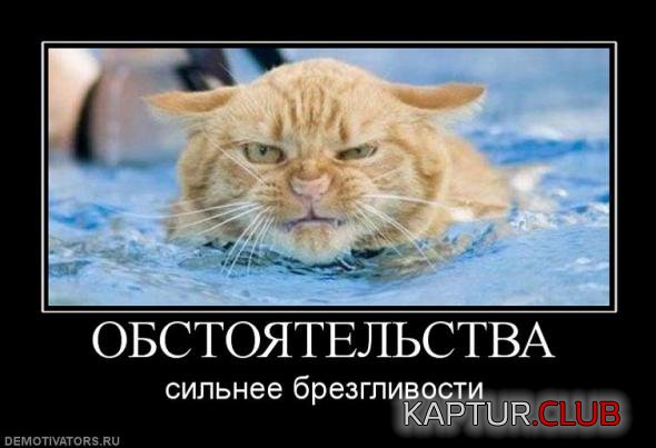 9d404b13cf305e3cf2742f50587_prev.jpg | Рено Каптур Клуб Россия | Форум KAPTUR.SU