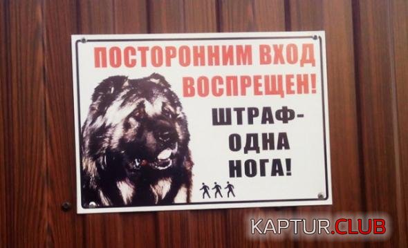 9dd59b25ef4194d04a1cab11bdf_prev.jpg | Рено Каптур Клуб Россия | Форум KAPTUR.SU