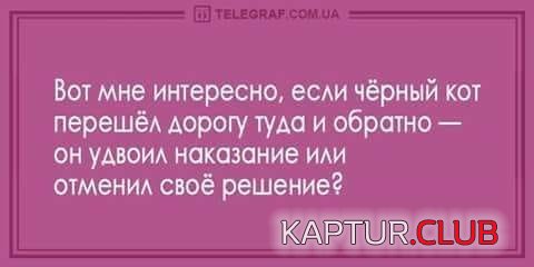9df24b4c2027e75d29feba40821.jpg | Рено Каптур Клуб Россия | Форум KAPTUR.SU