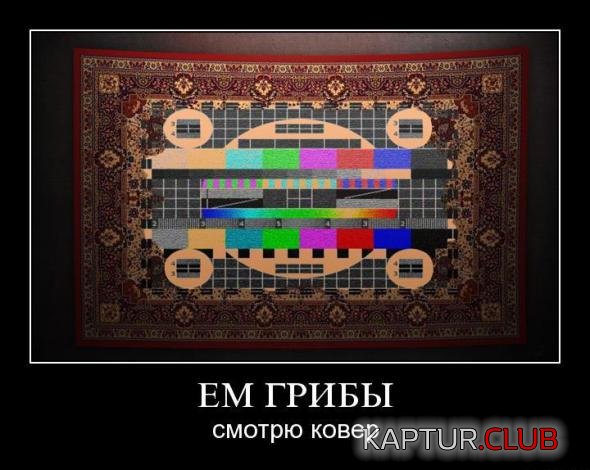 9e54dd7bd100df201bc31efed9e_prev.jpg | Рено Каптур Клуб Россия | Форум KAPTUR.SU