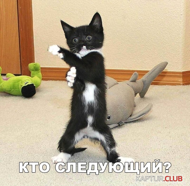 9e66ef863b26da40fa226e6a2c1.jpg | Рено Каптур Клуб Россия | Форум KAPTUR.SU