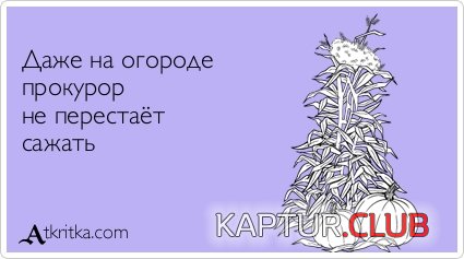 9e72c07df3c89414412ed558e61.jpg | Рено Каптур Клуб Россия | Форум KAPTUR.SU