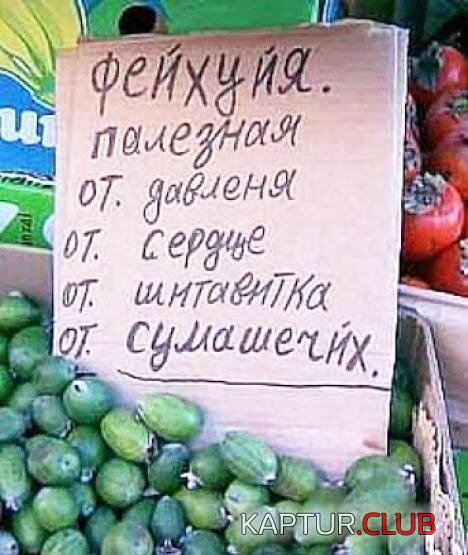 9ef0116fd22a64a0b4f095ea677.jpg | Рено Каптур Клуб Россия | Форум KAPTUR.SU