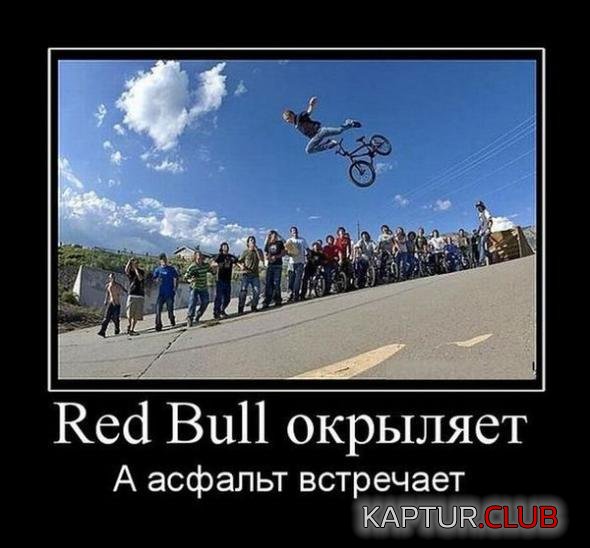 9f9cb29757d42ed0fc1d6540f8c_prev.jpg | Рено Каптур Клуб Россия | Форум KAPTUR.SU