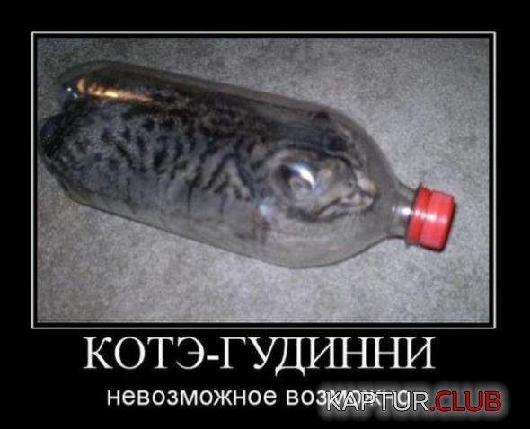9fa3cc1b8e1514f829e1314cc36_prev.jpg | Рено Каптур Клуб Россия | Форум KAPTUR.SU