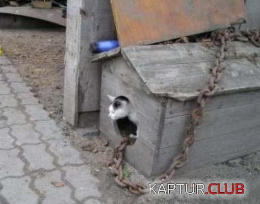 9fa78c3b92c7fcfa79cfe703afca32d2_full.jpg | Рено Каптур Клуб Россия | Форум KAPTUR.SU