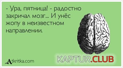 9fce5daf847e3da7d5860b95a63.jpg | Рено Каптур Клуб Россия | Форум KAPTUR.SU
