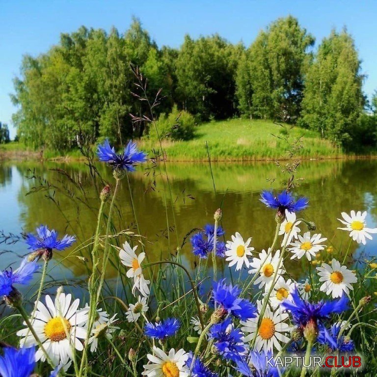 9IbLs52OI2c.jpg | Рено Каптур Клуб Россия | Форум KAPTUR.SU
