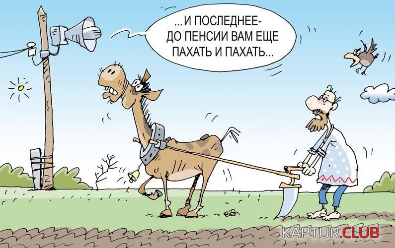 _0-24-1-132.jpg | Рено Каптур Клуб Россия | Форум KAPTUR.SU