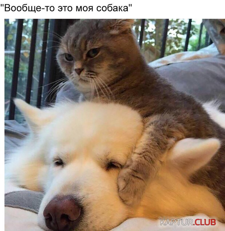 _195712.jpg | Рено Каптур Клуб Россия | Форум KAPTUR.SU