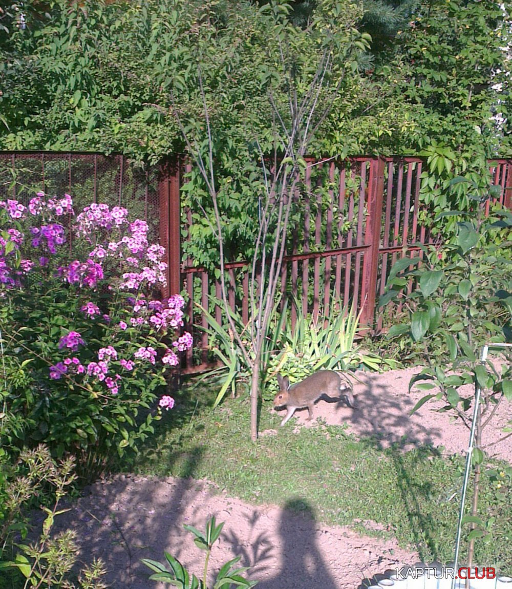 _20170308_165039.JPG | Рено Каптур Клуб Россия | Форум KAPTUR.SU
