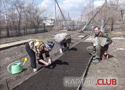 _2019-02-18_085845.jpg | Рено Каптур Клуб Россия | Форум KAPTUR.SU