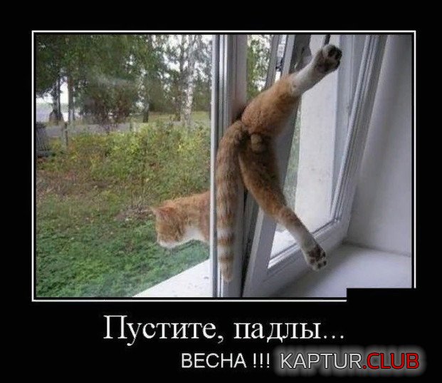 _2019-03-01_082608.jpg | Рено Каптур Клуб Россия | Форум KAPTUR.SU