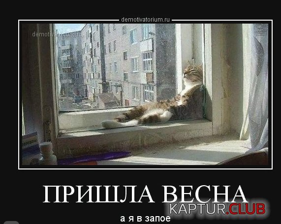 _2019-03-01_082702.jpg | Рено Каптур Клуб Россия | Форум KAPTUR.SU