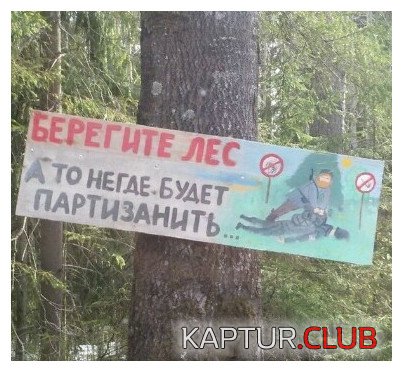 _2655.jpg | Рено Каптур Клуб Россия | Форум KAPTUR.SU