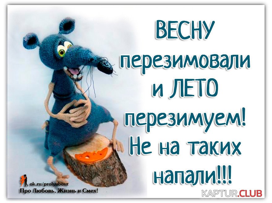 _340.jpg | Рено Каптур Клуб Россия | Форум KAPTUR.SU