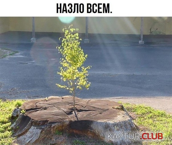_4.jpg | Рено Каптур Клуб Россия | Форум KAPTUR.SU
