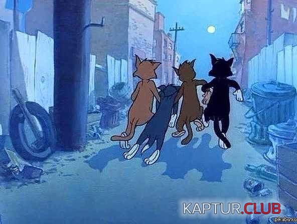 _68.jpg | Рено Каптур Клуб Россия | Форум KAPTUR.SU