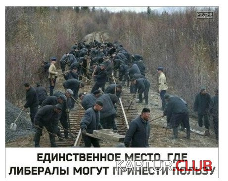 _913.jpg | Рено Каптур Клуб Россия | Форум KAPTUR.SU