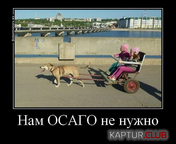 _д.jpg | Рено Каптур Клуб Россия | Форум KAPTUR.SU