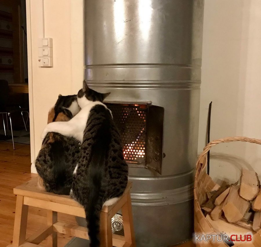 _da.jpg | Рено Каптур Клуб Россия | Форум KAPTUR.SU