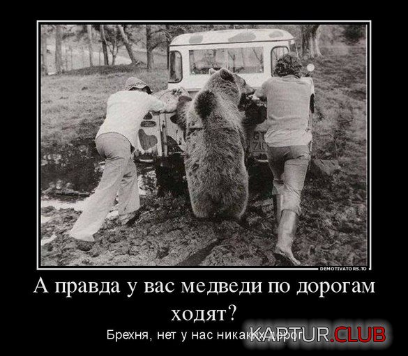 _дор.jpg | Рено Каптур Клуб Россия | Форум KAPTUR.SU