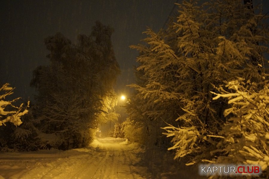 _DSC6253.JPG | Рено Каптур Клуб Россия | Форум KAPTUR.SU