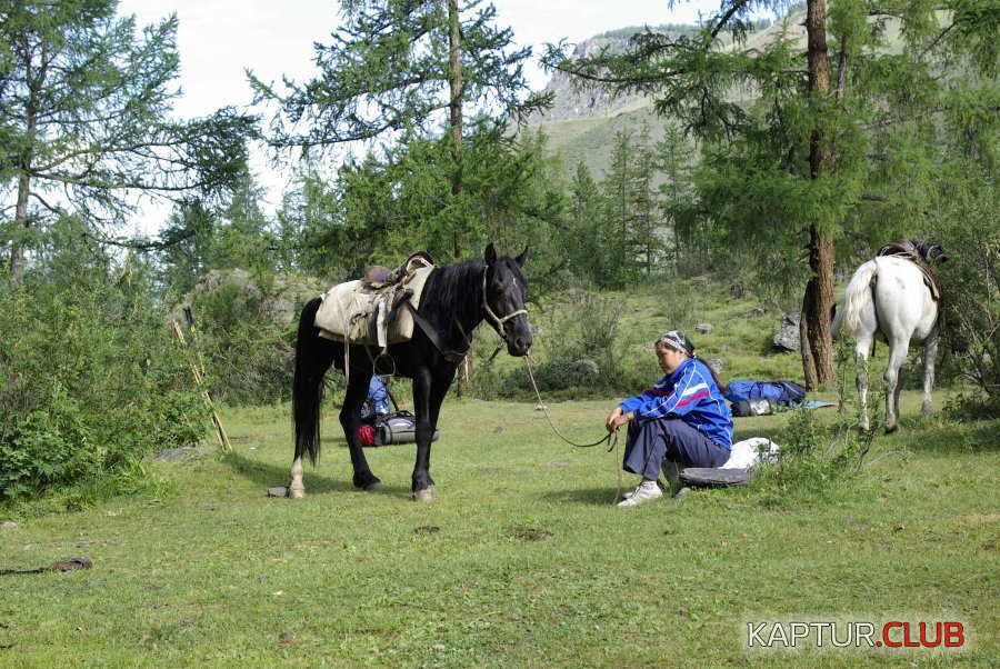 _IGP2324.jpg | Рено Каптур Клуб Россия | Форум KAPTUR.SU