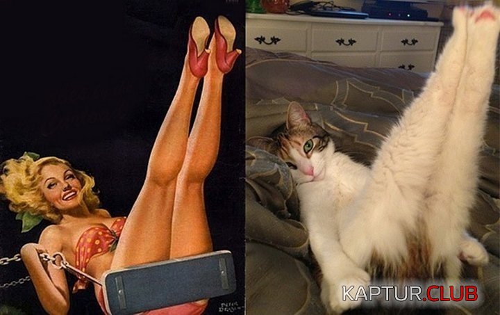 _image.jpg | Рено Каптур Клуб Россия | Форум KAPTUR.SU