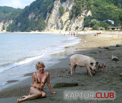 _News_Photo_image_large_2194.jpg | Рено Каптур Клуб Россия | Форум KAPTUR.SU