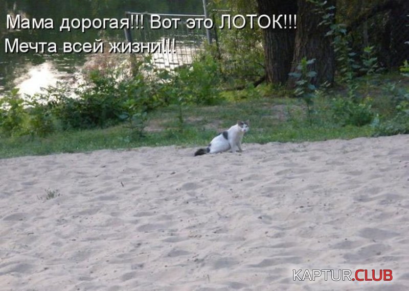 a047b9d52d1c5f47d26482700cf.jpg | Рено Каптур Клуб Россия | Форум KAPTUR.SU