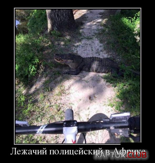 a0aef242fc88c0c6799342642f4_prev.jpg | Рено Каптур Клуб Россия | Форум KAPTUR.SU