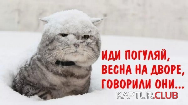 a130318-1.jpg | Рено Каптур Клуб Россия | Форум KAPTUR.SU