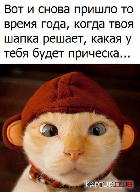 a150c01cad0001d6ed8b9d44e30_prev.jpg | Рено Каптур Клуб Россия | Форум KAPTUR.SU