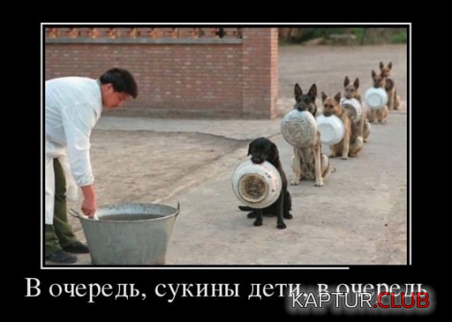 a1ab8b22e4739ea728d469e3c64.jpg | Рено Каптур Клуб Россия | Форум KAPTUR.SU