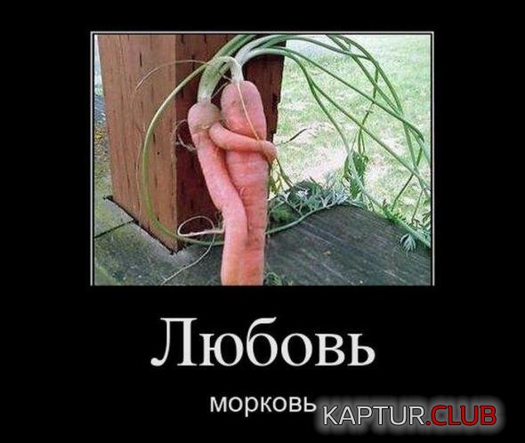 a1e751eb3c62d64c9a45b038b2b_prev.jpg | Рено Каптур Клуб Россия | Форум KAPTUR.SU