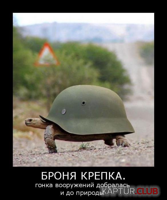 a20e688d0c252fc06565eeb88cc_prev.jpg | Рено Каптур Клуб Россия | Форум KAPTUR.SU