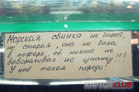a229d10214c924ae3611f13178a_prev.jpg | Рено Каптур Клуб Россия | Форум KAPTUR.SU