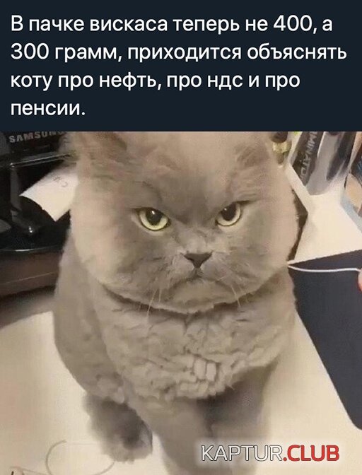a22c34471a16d74473485491877.jpg | Рено Каптур Клуб Россия | Форум KAPTUR.SU
