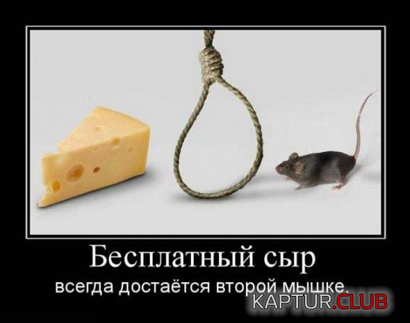 a28c8ebf60fe85df667c31292a0_prev.jpg | Рено Каптур Клуб Россия | Форум KAPTUR.SU