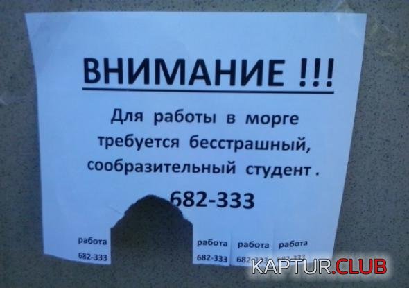 a2ea4c93fffeab35dd9e7cdf631_prev.jpg | Рено Каптур Клуб Россия | Форум KAPTUR.SU