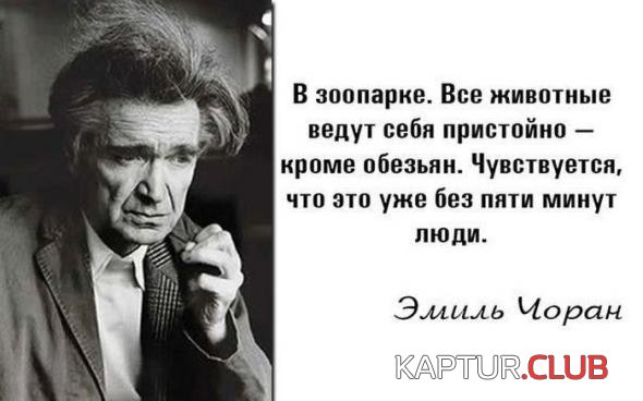 a3a3cd75a7adca1939ef0dcf461_prev.jpg | Рено Каптур Клуб Россия | Форум KAPTUR.SU