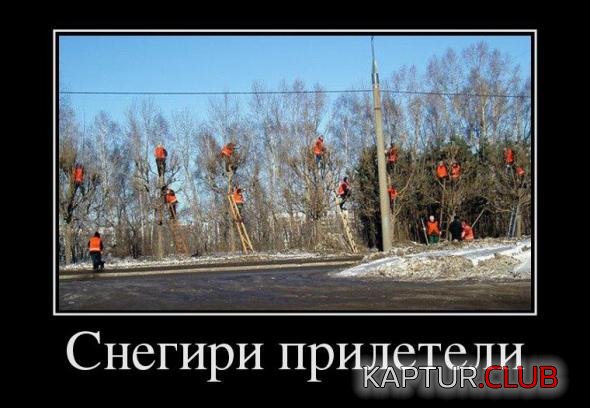 a469d5047191185a465402349e0_prev.jpg | Рено Каптур Клуб Россия | Форум KAPTUR.SU
